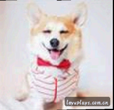李娜